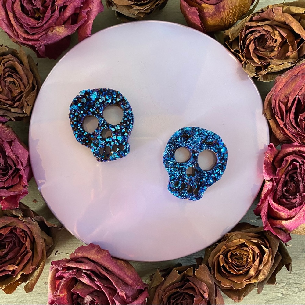 ✨ Titanium Druzy Skull 💀